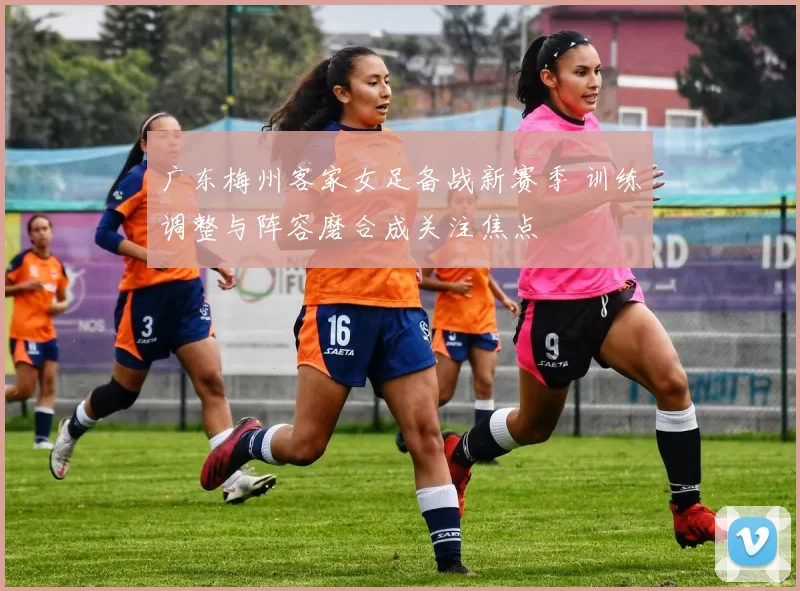 广东梅州客家女足备战新赛季 训练调整与阵容磨合成关注焦点