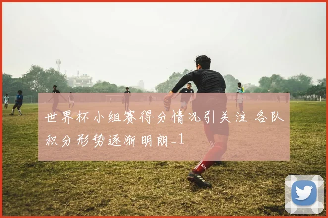 世界杯小组赛得分情况引关注 各队积分形势逐渐明朗_1