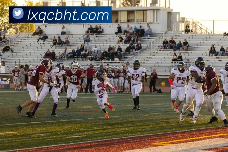 App Interface Preview